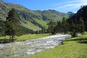 Lire la suite à propos de l’article Que faire en été à Cauterets